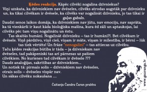 CCCD_64