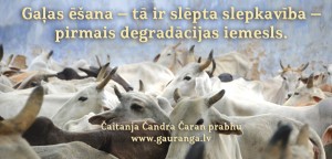 CCCD_68